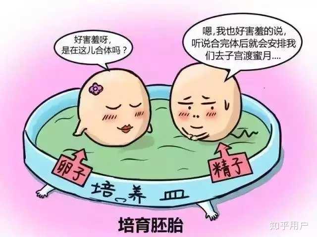 南方医科大学南方医院供卵试管婴儿的成功率是多少？