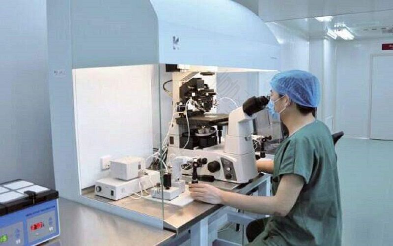 双子宫可以做借精借卵吗？我需要怎么做呢？