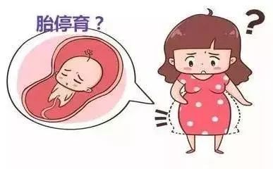 广东肇庆哪家借卵试管婴儿医院好成功率高广东肇庆哪家借卵试管婴儿医院好