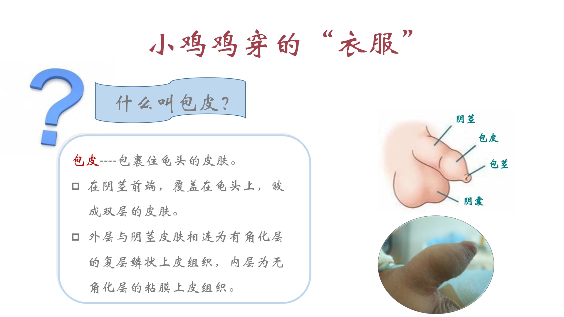 放床后借卵试管婴儿的成功率是多少