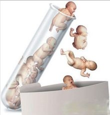 所有的胚胎都可以冷冻用于供卵做助孕代怀试管吗？