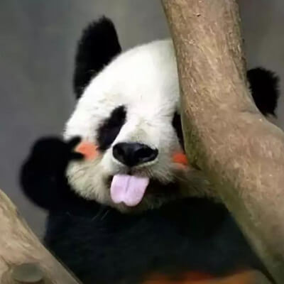 你做供卵代怀做供卵试管的成功率高吗？拥有正确的心态对提高成功率很重要