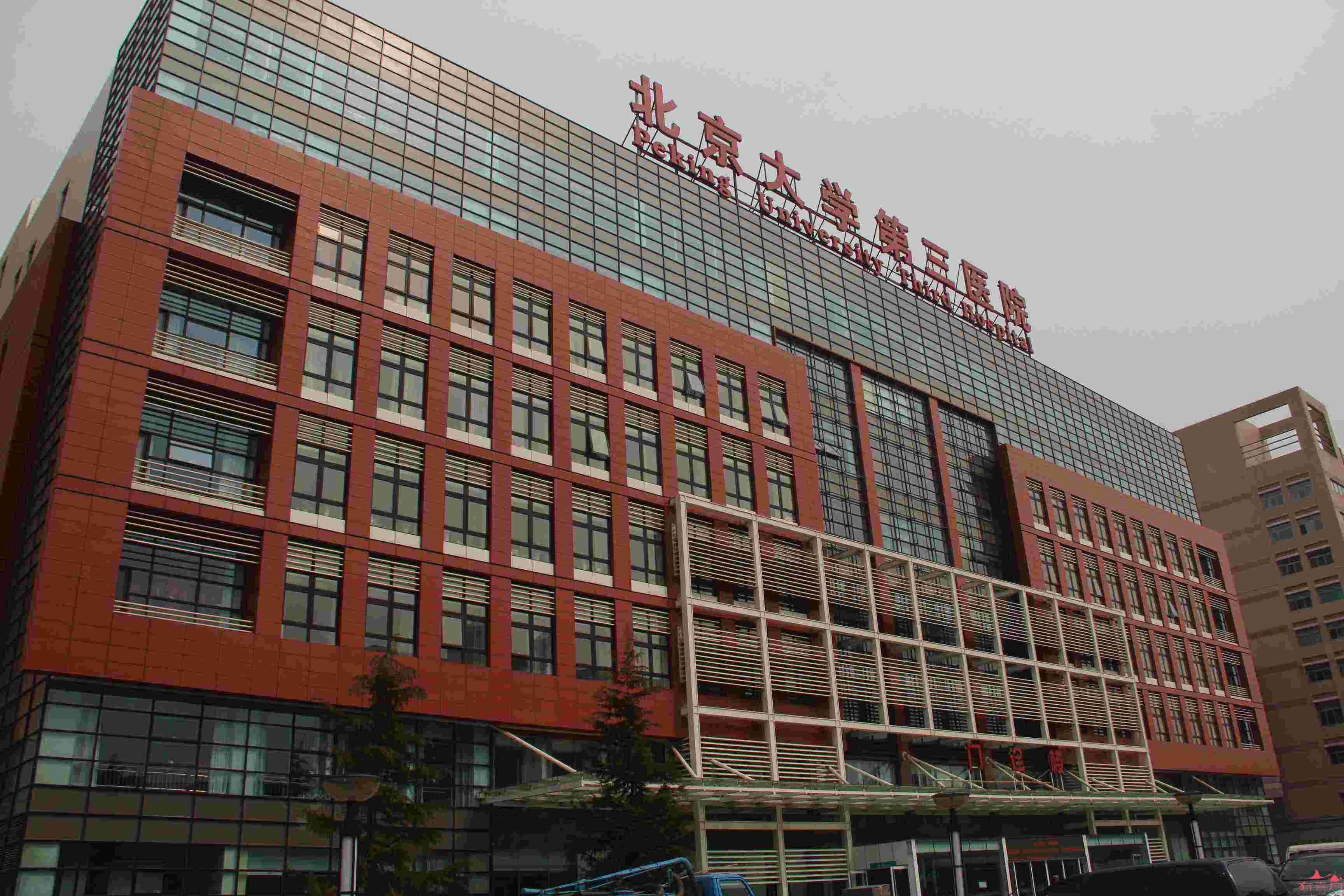 美国供卵做借卵试管代生单胎移植：为什么成功率还高？