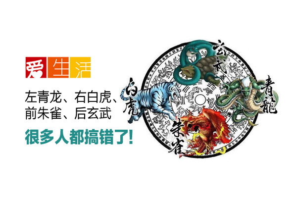 做借卵供卵自怀医院生双胞胎的几率有多大？