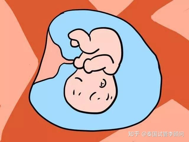 高龄还没绝经做三代供卵做三代自怀试管成功率多高附高龄供卵做自怀借卵试管成功率一览