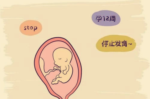 合肥三代供卵生男孩医院排名揭秘大公开,哪家好比比就知