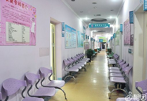 不排卵怎么做供卵试管