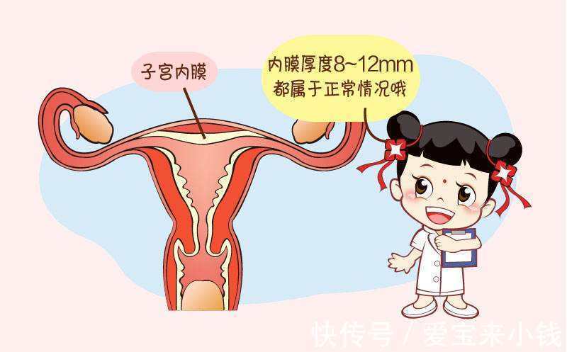 做借卵试管可以做三胞胎吗