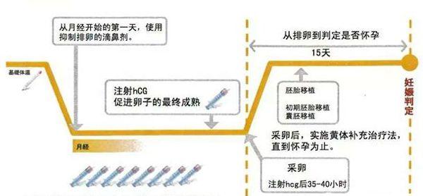 做试管婴儿几个月出生