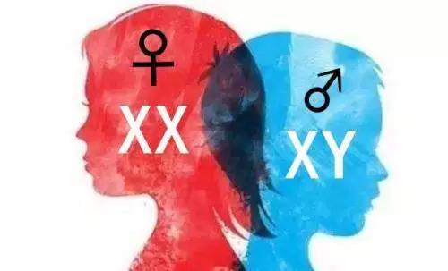 广州哪里能做试管婴儿