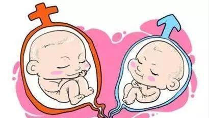如何去广州供卵试管代生婴儿,需要哪些流程