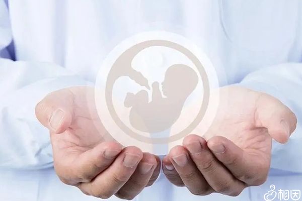 广州市妇幼试管多少钱（广州妇幼试管费用明细参考）